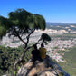 ESCALADA EN ROCA EN  LA MONTAÑA DON LAURO