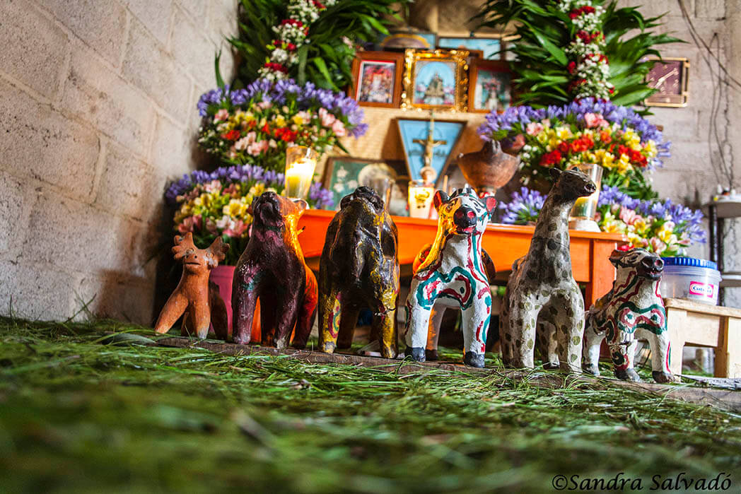 SENDERISMO A LA TIERRA DE LAS FLORES- ZINACANTÁN- PUEBLO MÁGICO