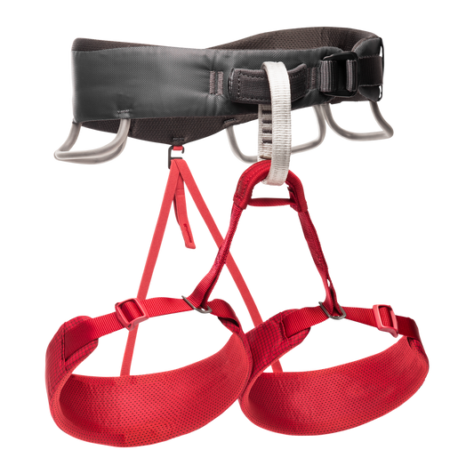 MOMENTUM CLIMBING HARNESS - WOMEN